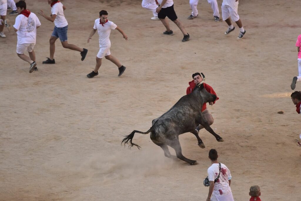 Running with the Bulls in Pamplona: Spain's Heart-Pounding Tradition