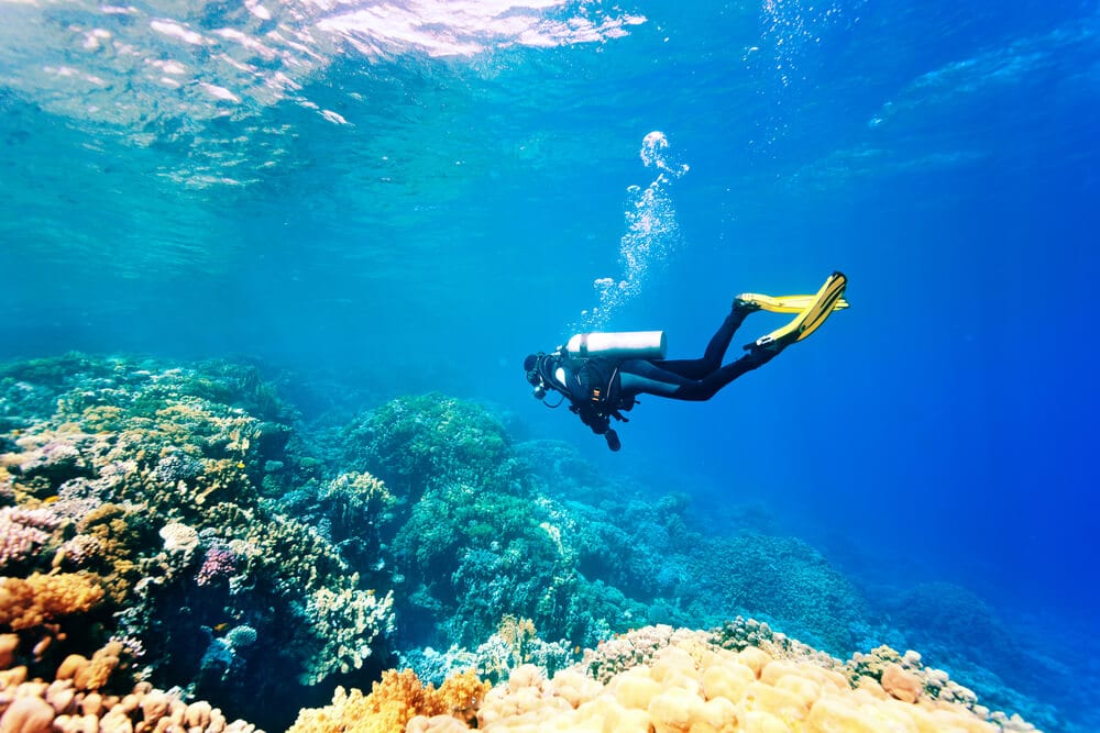 Scuba Diving in Coral Paradise: Top Dive Spots