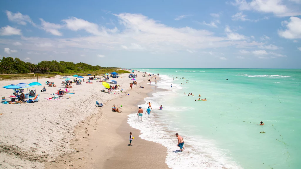 Top Things to Do in Venice Beach, Florida From Relaxation to Adventure,