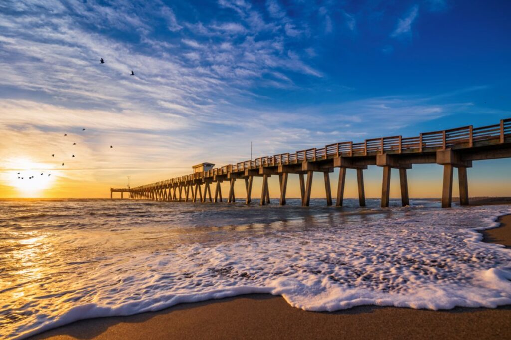 Top Things to Do in Venice Beach, Florida: From Relaxation to Adventure